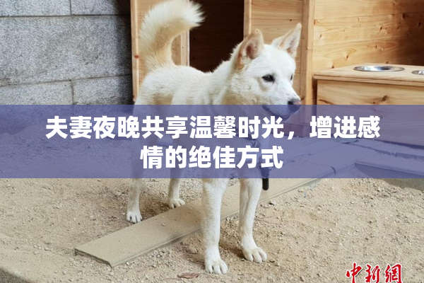夫妻夜晚共享温馨时光，增进感情的绝佳方式