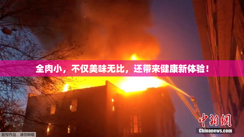 全肉小，不仅美味无比，还带来健康新体验！