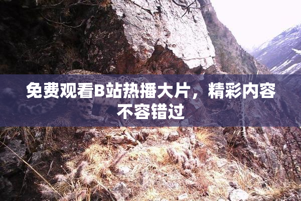 免费观看B站热播大片，精彩内容不容错过