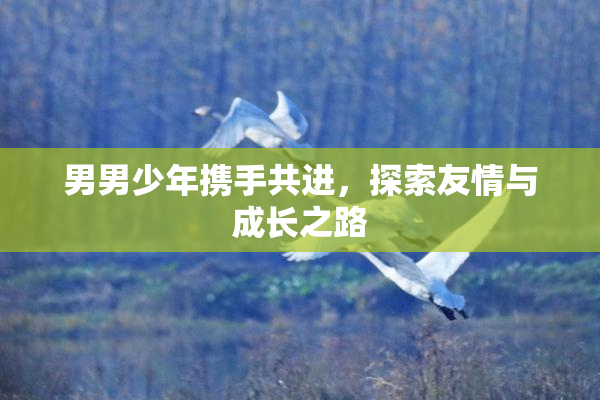 男男少年携手共进，探索友情与成长之路