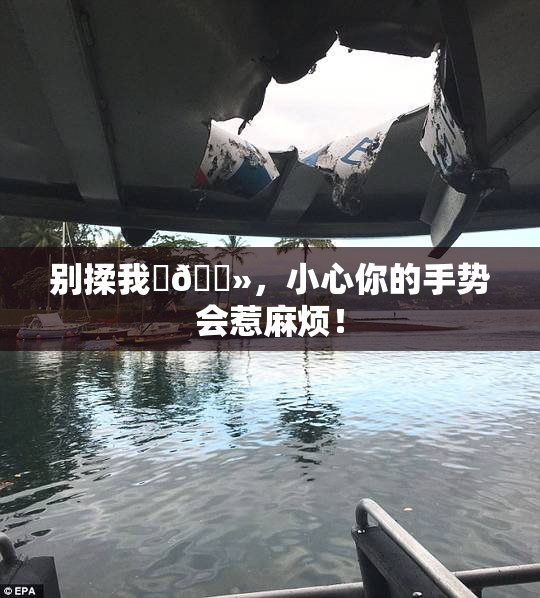 别揉我‌🐻，小心你的手势会惹麻烦！