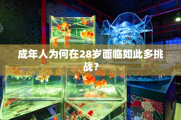 成年人为何在28岁面临如此多挑战？