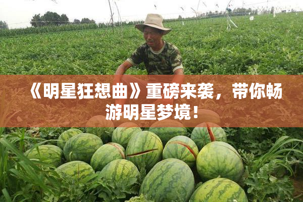 《明星狂想曲》重磅来袭，带你畅游明星梦境！