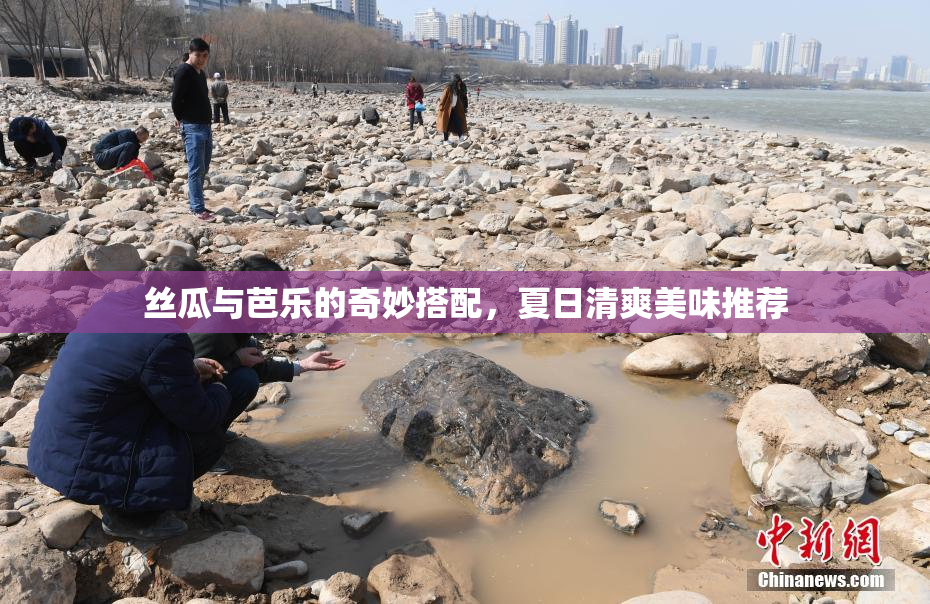丝瓜与芭乐的奇妙搭配，夏日清爽美味推荐