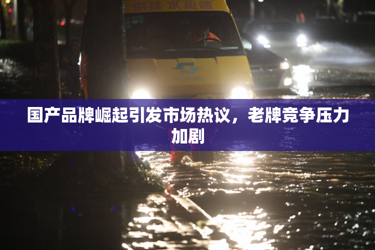 国产品牌崛起引发市场热议，老牌竞争压力加剧
