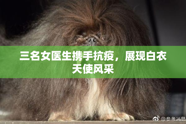 三名女医生携手抗疫，展现白衣天使风采