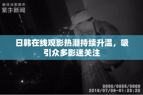 日韩在线观影热潮持续升温，吸引众多影迷关注