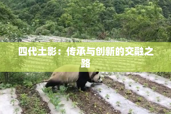 四代土影：传承与创新的交融之路