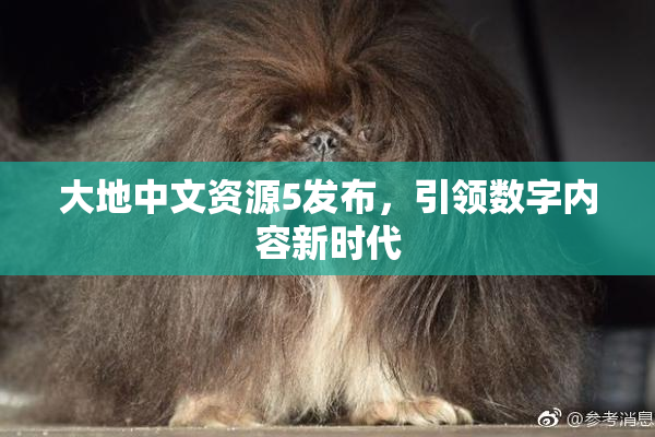 大地中文资源5发布，引领数字内容新时代