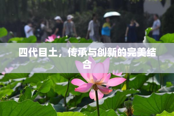 四代目土，传承与创新的完美结合