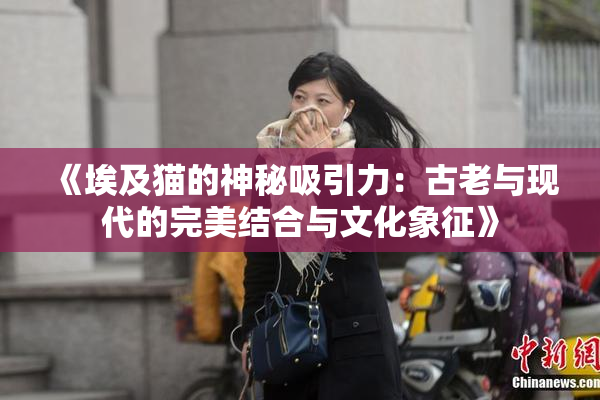 《埃及猫的神秘吸引力：古老与现代的完美结合与文化象征》