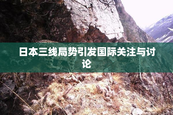 日本三线局势引发国际关注与讨论