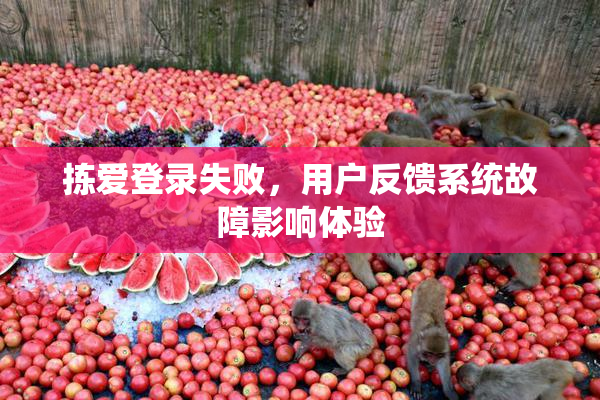 拣爱登录失败，用户反馈系统故障影响体验