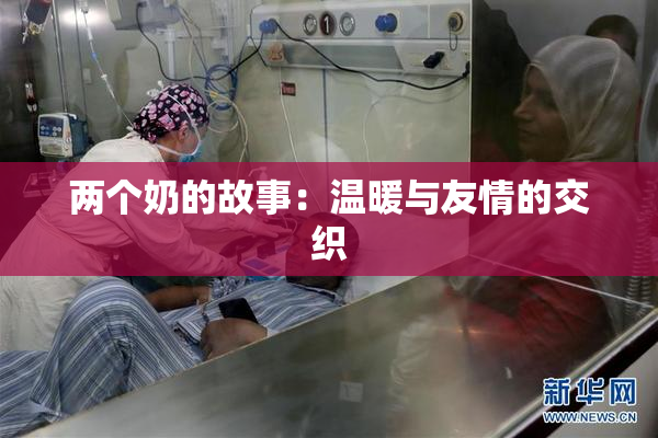两个奶的故事：温暖与友情的交织