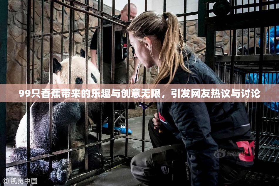99只香蕉带来的乐趣与创意无限，引发网友热议与讨论