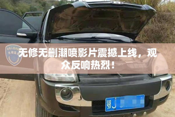 无修无删潮喷影片震撼上线，观众反响热烈！
