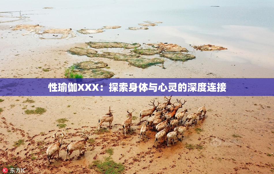 性瑜伽XXX：探索身体与心灵的深度连接