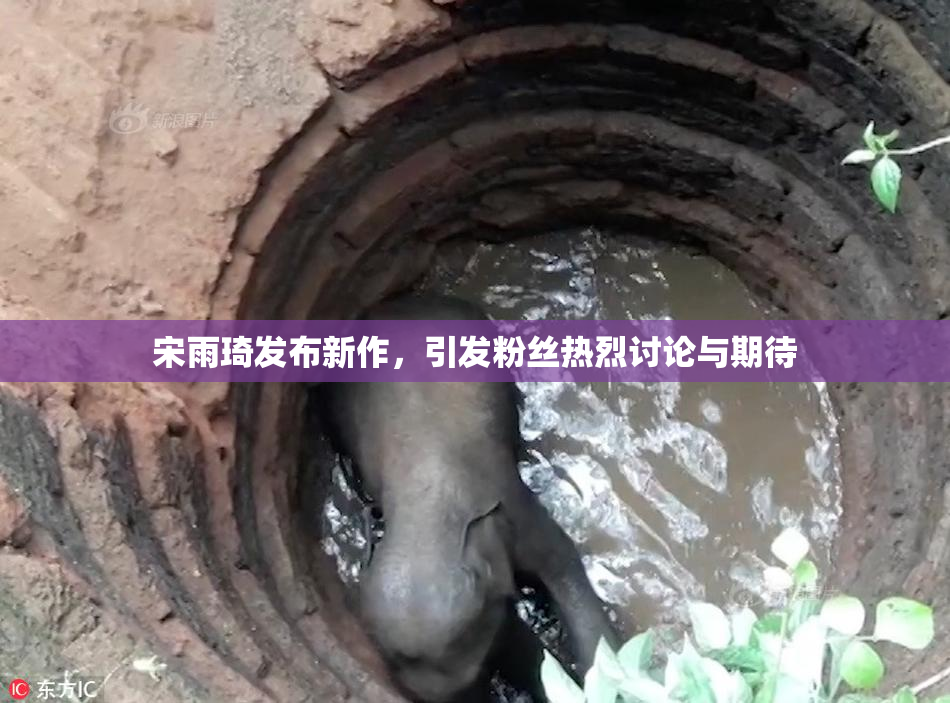 宋雨琦发布新作，引发粉丝热烈讨论与期待