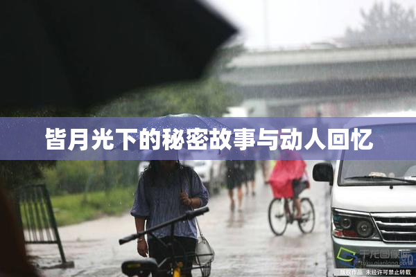 皆月光下的秘密故事与动人回忆