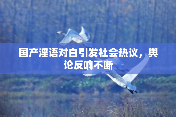国产淫语对白引发社会热议，舆论反响不断