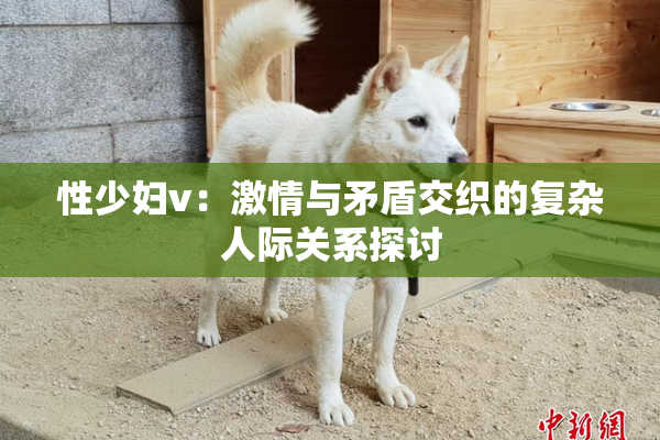 性少妇v：激情与矛盾交织的复杂人际关系探讨