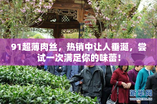 91超薄肉丝，热销中让人垂涎，尝试一次满足你的味蕾！