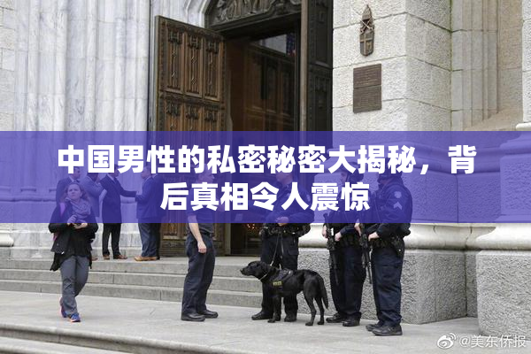 中国男性的私密秘密大揭秘，背后真相令人震惊