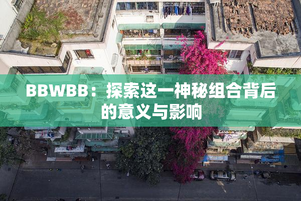 BBWBB：探索这一神秘组合背后的意义与影响