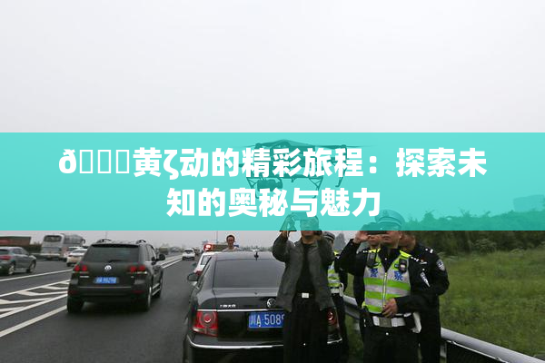 🔞黄ζ动的精彩旅程：探索未知的奥秘与魅力