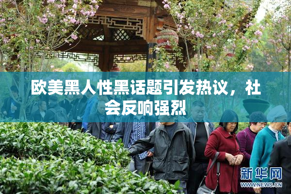 欧美黑人性黑话题引发热议，社会反响强烈
