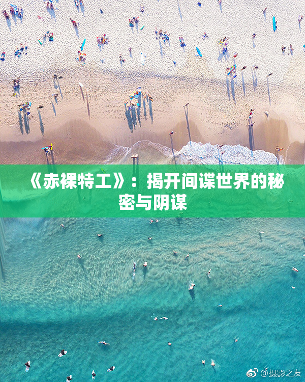 《赤裸特工》：揭开间谍世界的秘密与阴谋