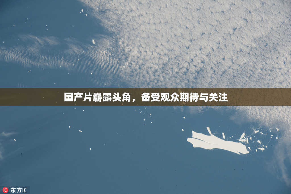 国产片崭露头角，备受观众期待与关注