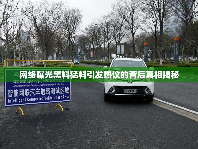 网络曝光黑料猛料引发热议的背后真相揭秘