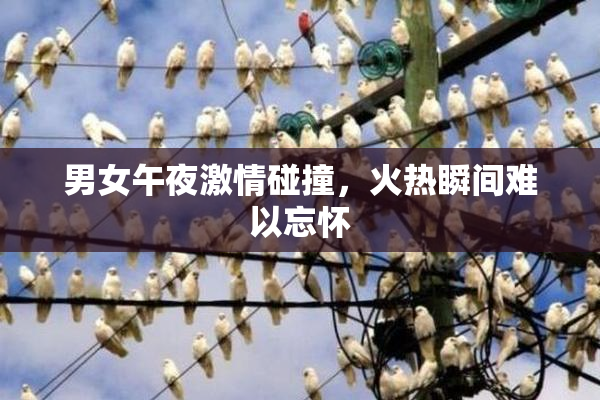男女午夜激情碰撞，火热瞬间难以忘怀