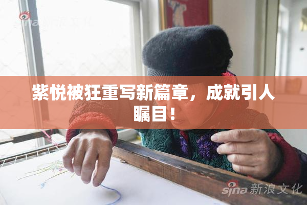 紫悦被狂重写新篇章，成就引人瞩目！