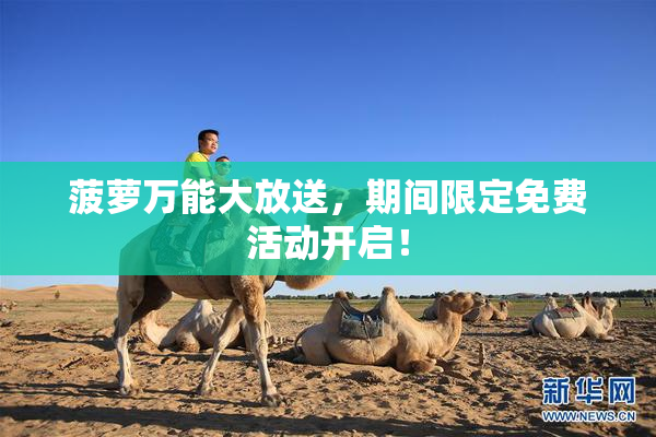菠萝万能大放送，期间限定免费活动开启！