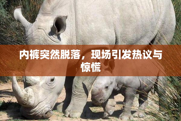 内裤突然脱落，现场引发热议与惊慌