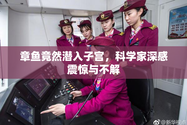 章鱼竟然潜入子宫，科学家深感震惊与不解