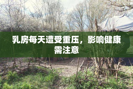 乳房每天遭受重压，影响健康需注意