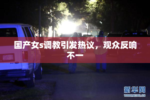 国产女s调教引发热议，观众反响不一