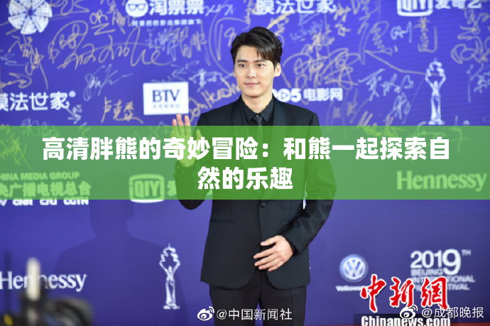 高清胖熊的奇妙冒险：和熊一起探索自然的乐趣