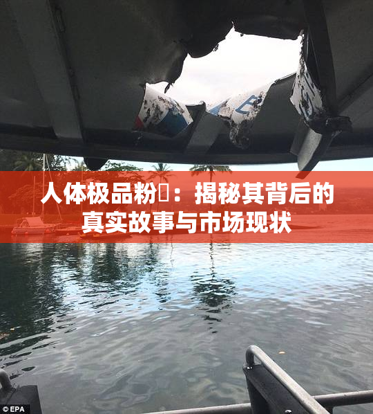 人体极品粉鮑：揭秘其背后的真实故事与市场现状