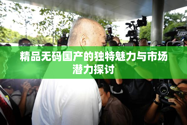 精品无码国产的独特魅力与市场潜力探讨