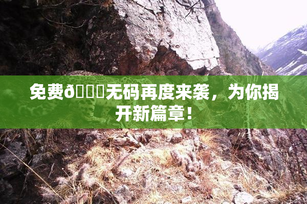 免费🔞无码再度来袭，为你揭开新篇章！