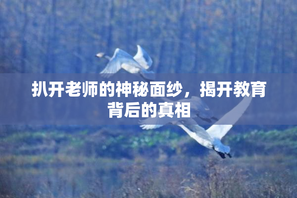 扒开老师的神秘面纱，揭开教育背后的真相