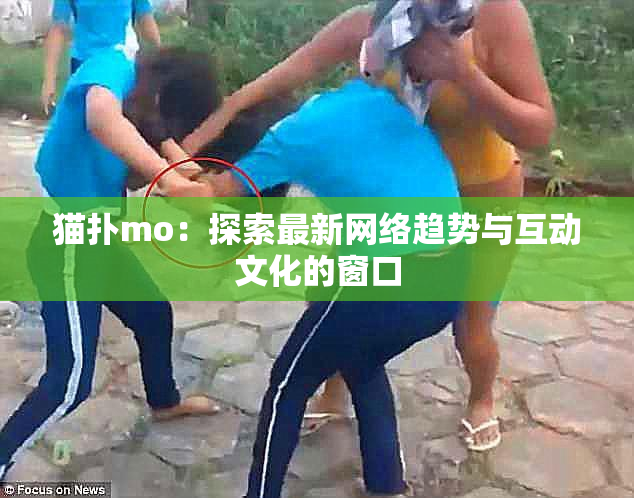 猫扑mo：探索最新网络趋势与互动文化的窗口