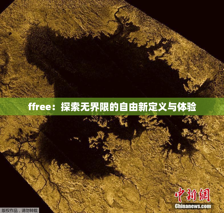 ffree：探索无界限的自由新定义与体验