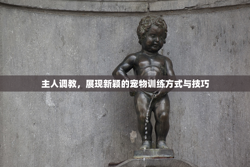 主人调教，展现新颖的宠物训练方式与技巧