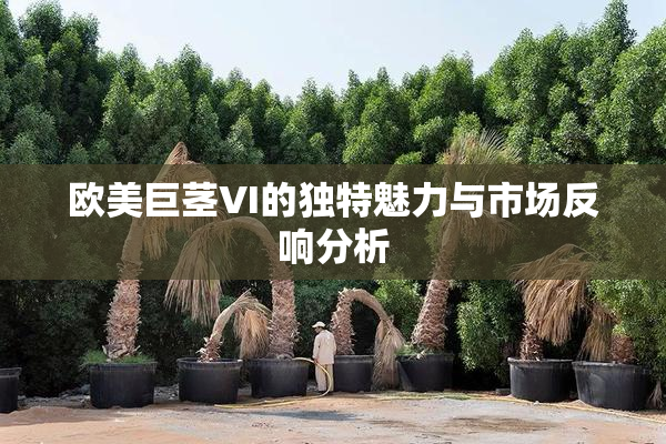 欧美巨茎VI的独特魅力与市场反响分析