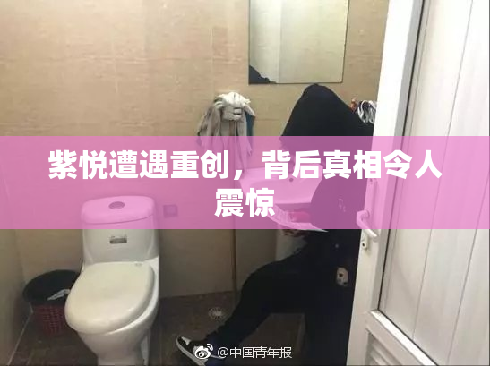 紫悦遭遇重创，背后真相令人震惊